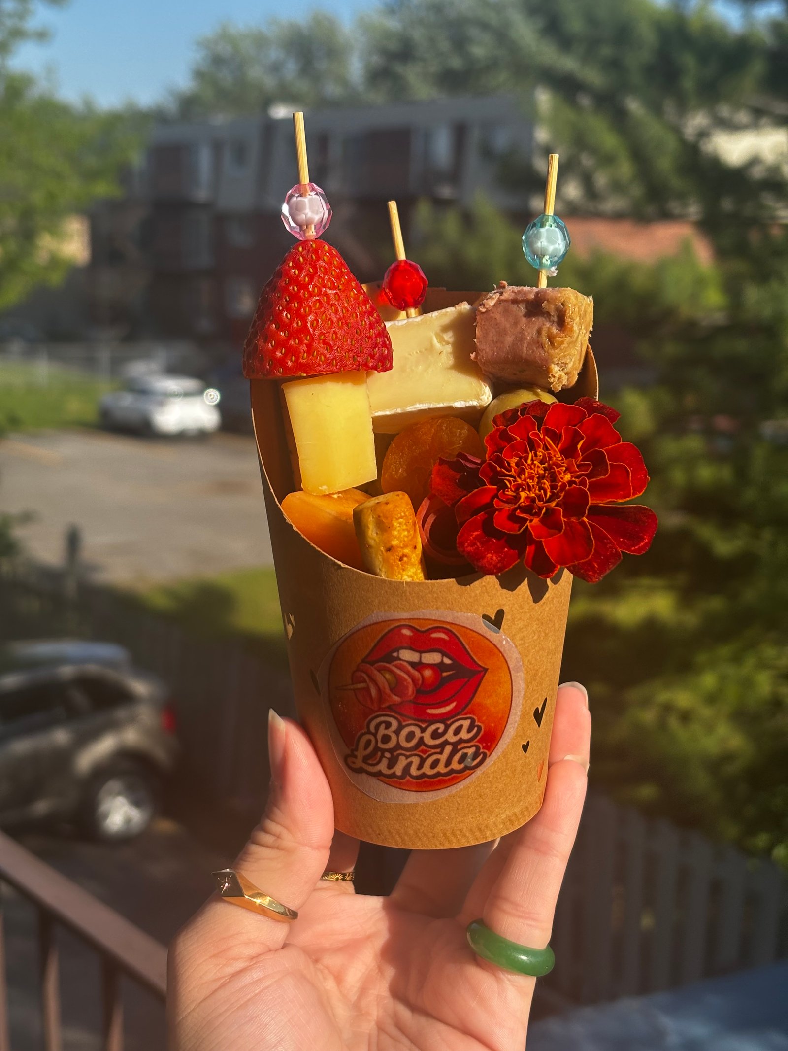 Cups individuels Boca Linda